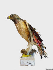 sculpture d'aigle